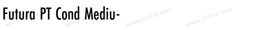 Futura PT Cond Mediu字体转换